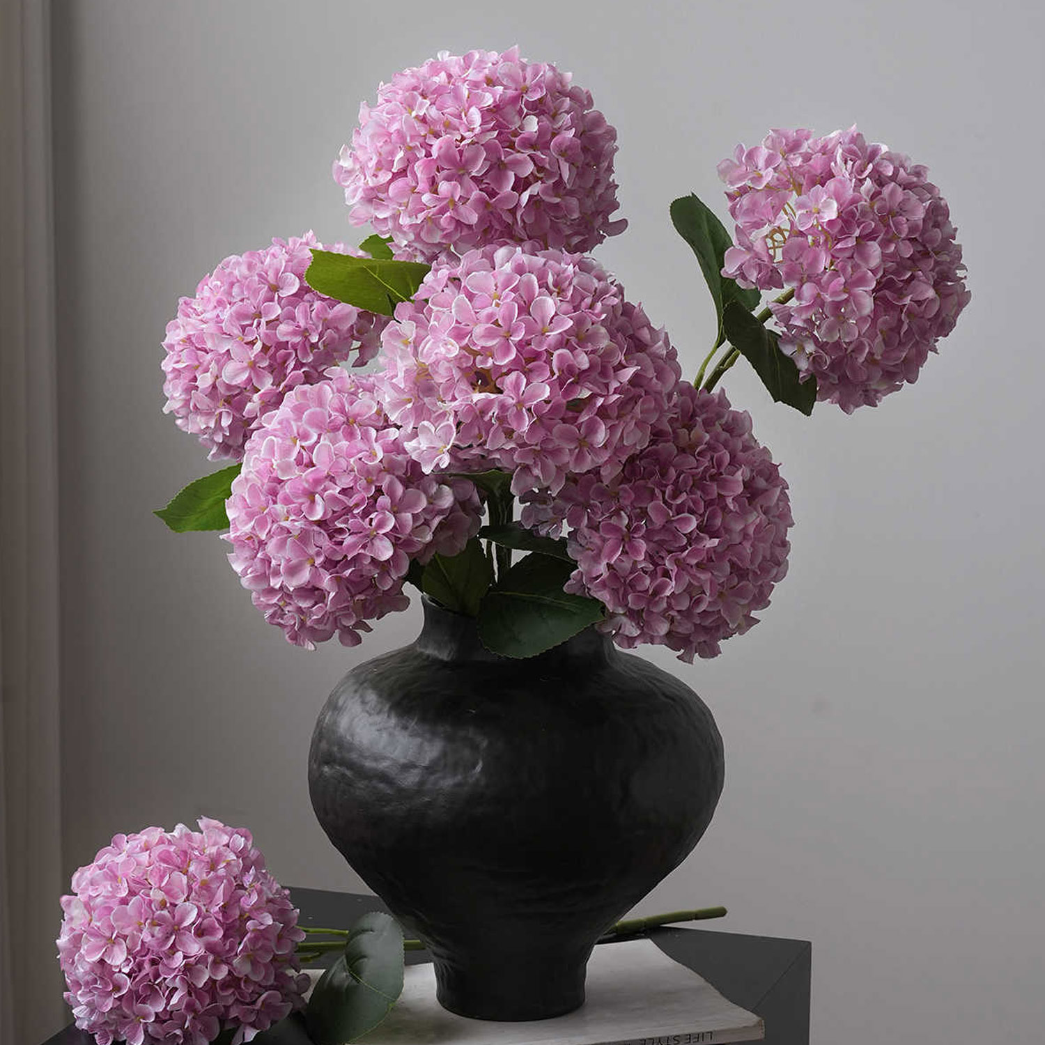 Photography Lighting Simulation - 1 Pieza de Flor de Hortensia