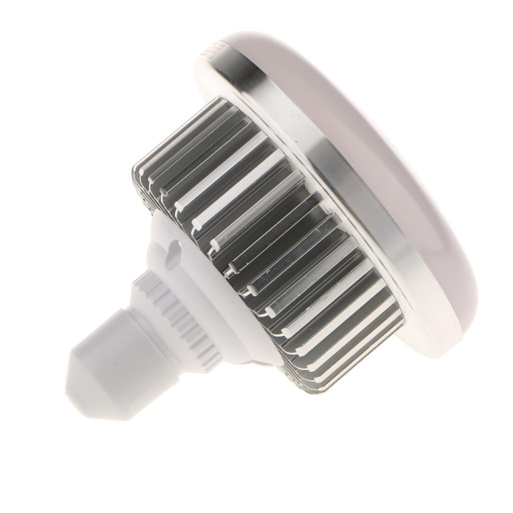 Photography Lighting Professional - Bombillas LED de Luz Diurna de
