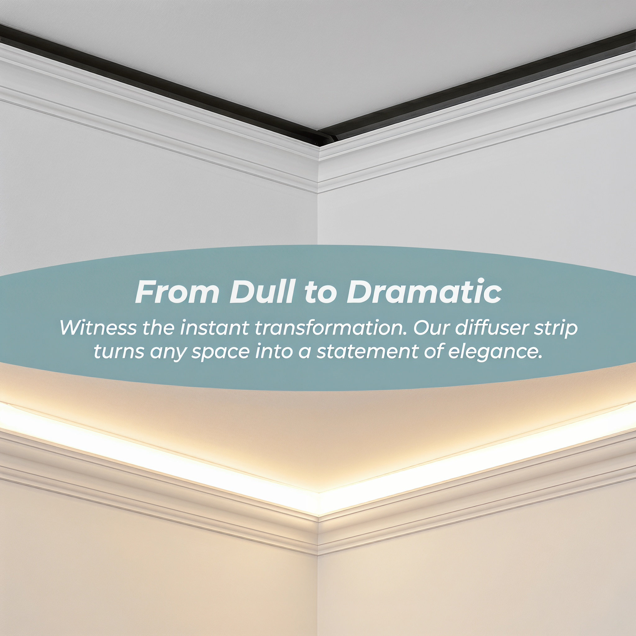 Photography With Lighting - Panel de tira difusora de luz